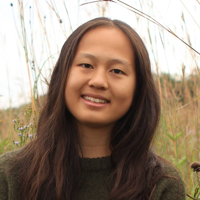 Ziwei Chen