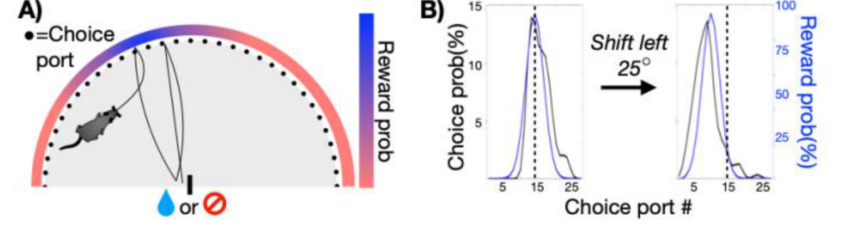 Continuous Action/Reward Landscape (CARL) task